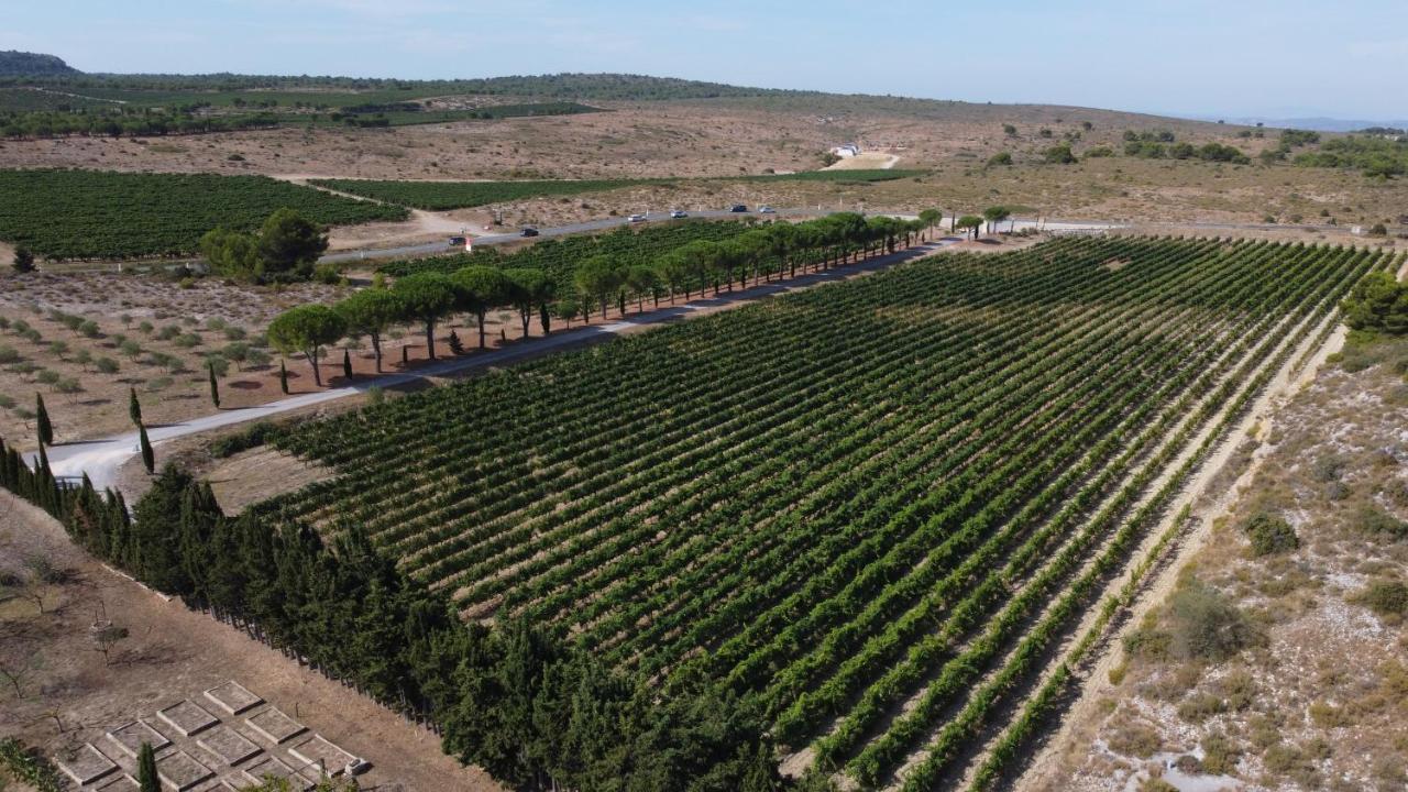 Chateau Catherine De Montgolfier B&B Et Gites Narbonne Ngoại thất bức ảnh