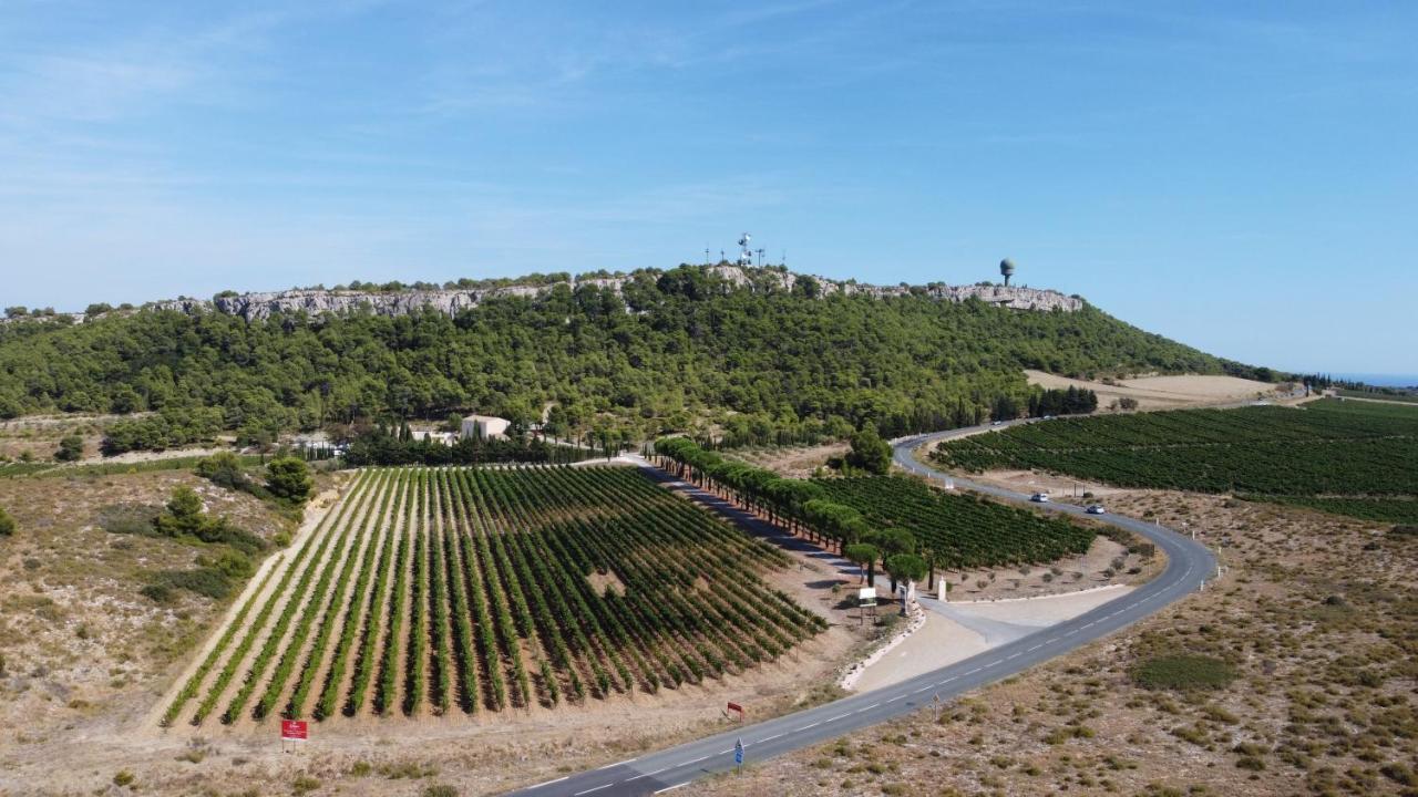 Chateau Catherine De Montgolfier B&B Et Gites Narbonne Ngoại thất bức ảnh