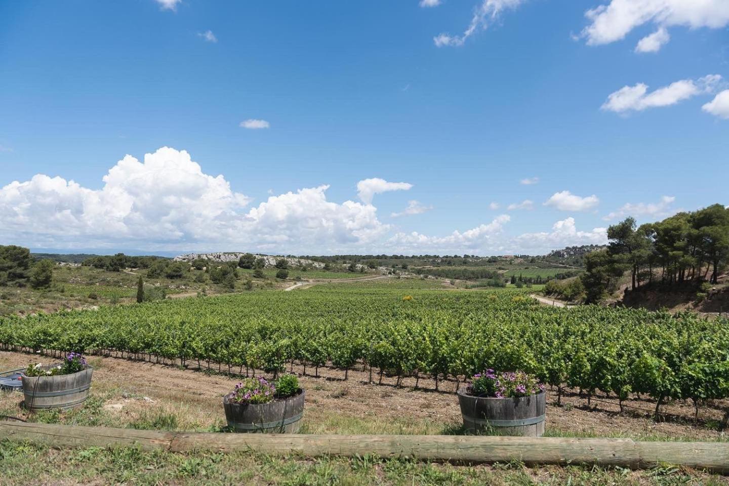 Chateau Catherine De Montgolfier B&B Et Gites Narbonne Ngoại thất bức ảnh