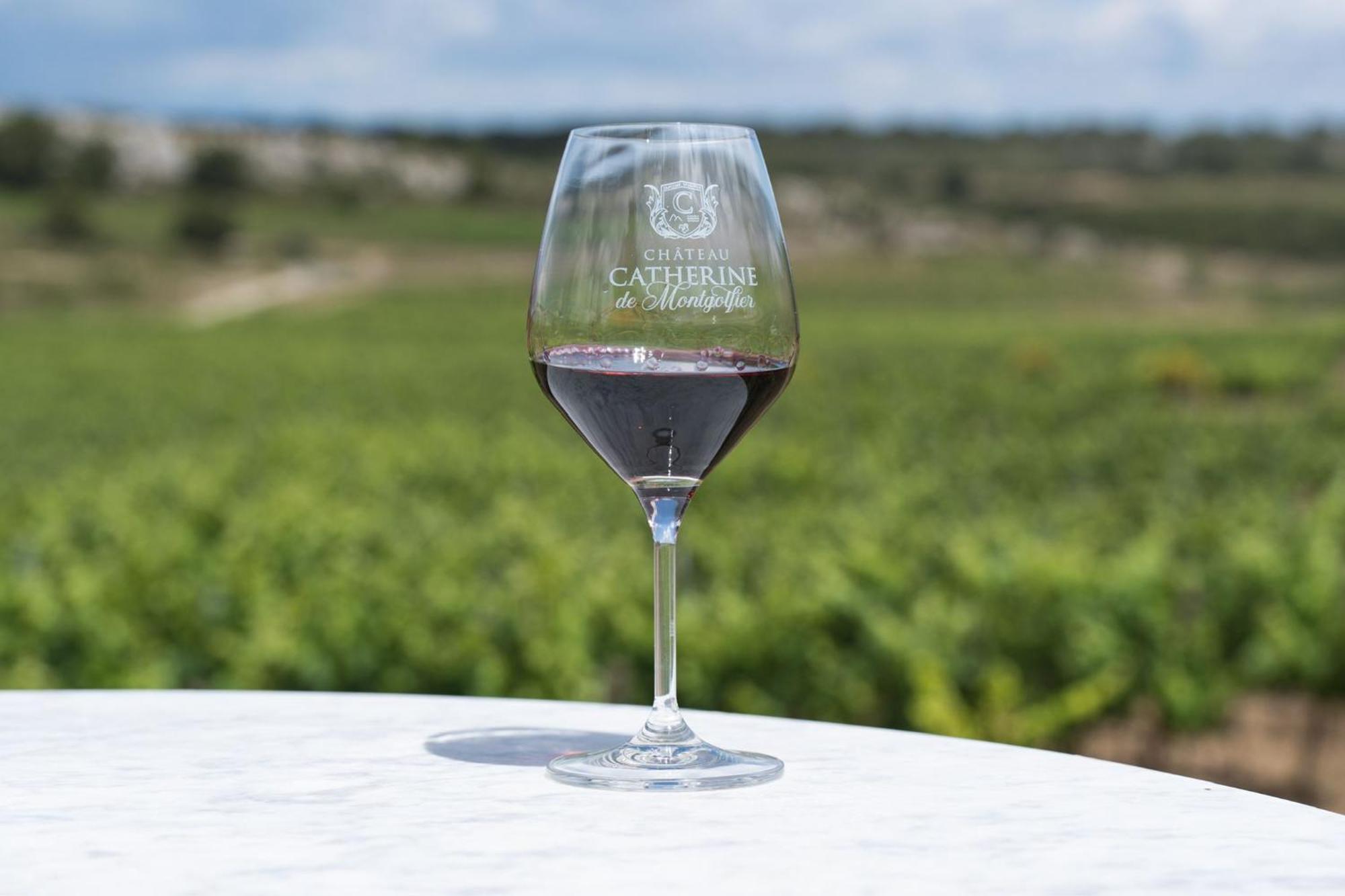 Chateau Catherine De Montgolfier B&B Et Gites Narbonne Ngoại thất bức ảnh
